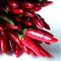 chili-peppers.jpg