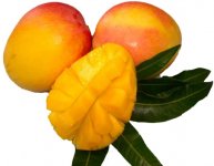 Papya fruit