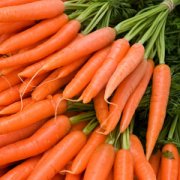 carrots-0304-lg-2628292