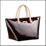 Winter 2010 Louis Vuitton handbag